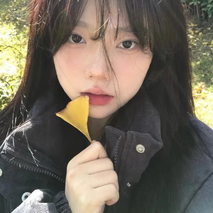 凯特的秘密